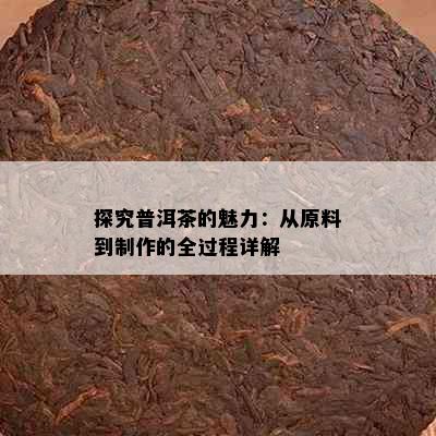 探究普洱茶的魅力：从原料到制作的全过程详解