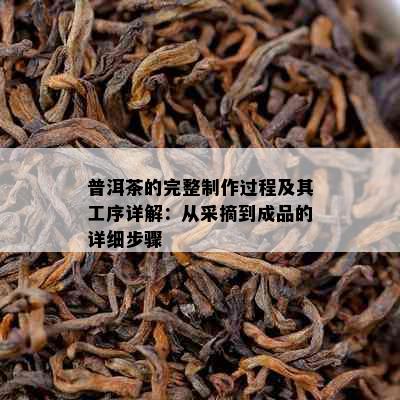 普洱茶的完整制作过程及其工序详解：从采摘到成品的详细步骤