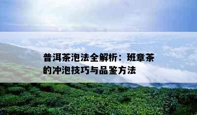 普洱茶泡法全解析：班章茶的冲泡技巧与品鉴方法