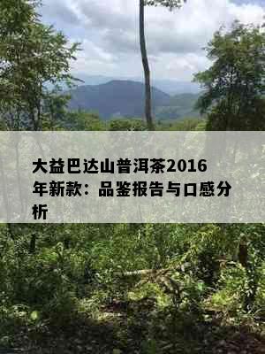 大益巴达山普洱茶2016年新款：品鉴报告与口感分析