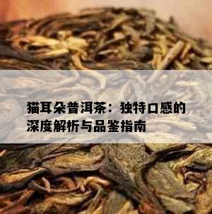 猫耳朵普洱茶：独特口感的深度解析与品鉴指南