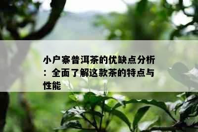 小户寨普洱茶的优缺点分析：全面了解这款茶的特点与性能