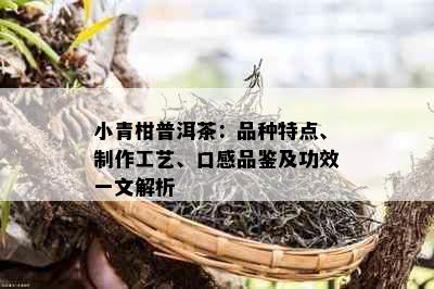 小青柑普洱茶：品种特点、制作工艺、口感品鉴及功效一文解析