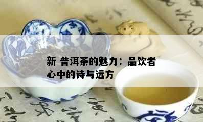 新 普洱茶的魅力：品饮者心中的诗与远方