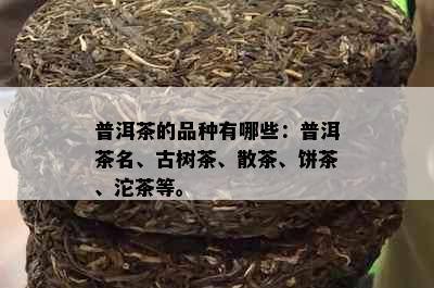 普洱茶的品种有哪些：普洱茶名、古树茶、散茶、饼茶、沱茶等。