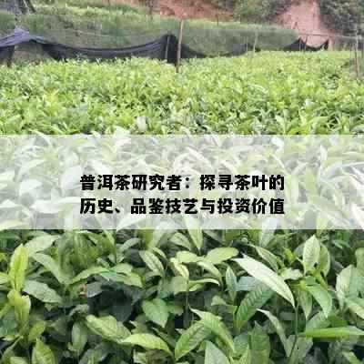 普洱茶研究者：探寻茶叶的历史、品鉴技艺与投资价值