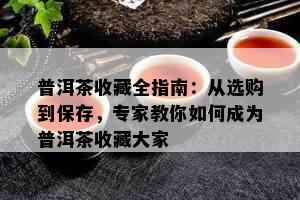 普洱茶收藏全指南：从选购到保存，专家教你如何成为普洱茶收藏大家