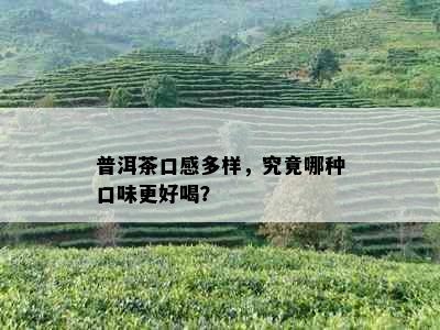 普洱茶口感多样，究竟哪种口味更好喝？