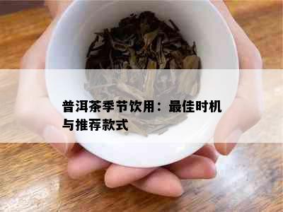 普洱茶季节饮用：更佳时机与推荐款式