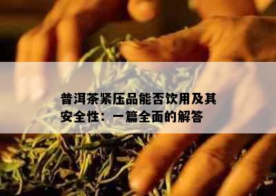 普洱茶紧压品能否饮用及其安全性：一篇全面的解答