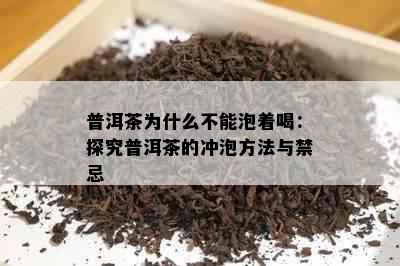 普洱茶为什么不能泡着喝：探究普洱茶的冲泡方法与禁忌