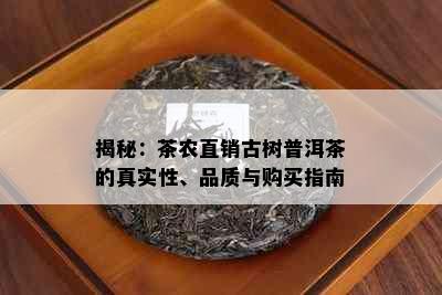 揭秘：茶农直销古树普洱茶的真实性、品质与购买指南