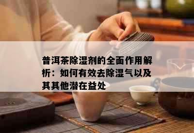 普洱茶除湿剂的全面作用解析：如何有效去除湿气以及其其他潜在益处