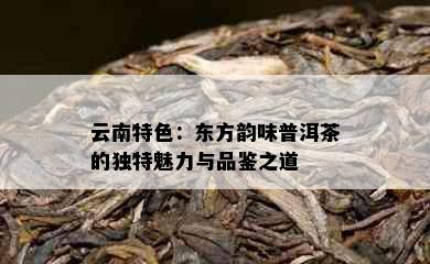 云南特色：东方韵味普洱茶的独特魅力与品鉴之道