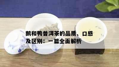 鹅和鸭普洱茶的品质、口感及区别：一篇全面解析