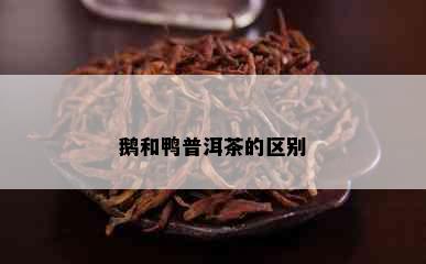 鹅和鸭普洱茶的区别