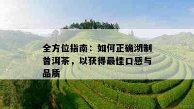 全方位指南：如何正确沏制普洱茶，以获得更佳口感与品质