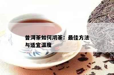 普洱茶如何沏茶：更佳方法与适宜温度