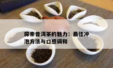 探索普洱茶的魅力：更佳冲泡方法与口感调和