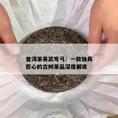 普洱茶易武弯弓：一款独具匠心的古树茶品深度解读