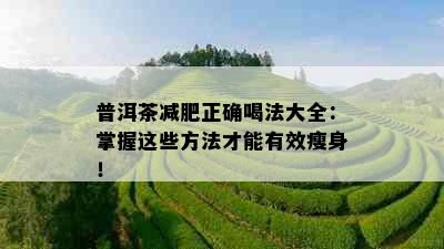 普洱茶减肥正确喝法大全：掌握这些方法才能有效瘦身！