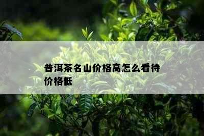 普洱茶名山价格高怎么看待价格低