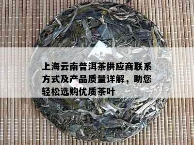 上海云南普洱茶供应商联系方式及产品质量详解，助您轻松选购优质茶叶