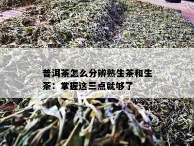 普洱茶怎么分辨熟生茶和生茶：掌握这三点就够了