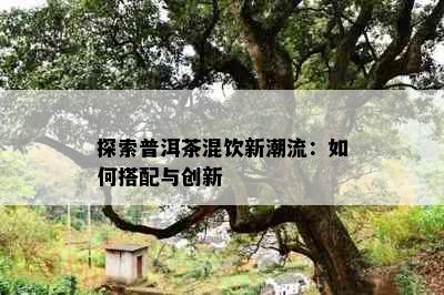 探索普洱茶混饮新潮流：如何搭配与创新