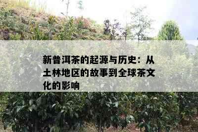 新普洱茶的起源与历史：从土林地区的故事到全球茶文化的影响