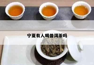 宁夏有人喝普洱茶吗