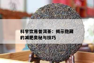 科学饮用普洱茶：揭示隐藏的减肥奥秘与技巧