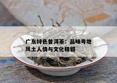 广东特色普洱茶：品味粤地风土人情与文化精髓