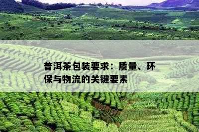 普洱茶包装要求：质量、环保与物流的关键要素