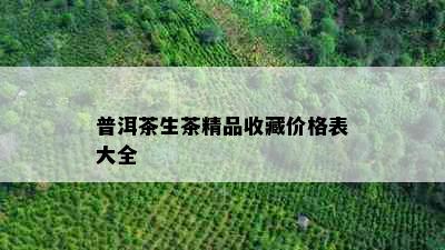 普洱茶生茶精品收藏价格表大全