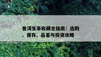 普洱生茶收藏全指南：选购、保存、品鉴与投资攻略