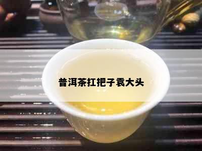 普洱茶扛把子袁大头