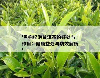 '黑枸杞泡普洱茶的好处与作用：健康益处与功效解析'