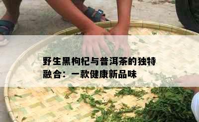 野生黑枸杞与普洱茶的独特融合：一款健康新品味