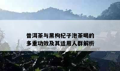 普洱茶与黑枸杞子泡茶喝的多重功效及其适用人群解析