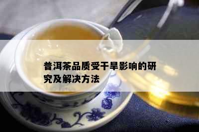 普洱茶品质受干旱影响的研究及解决方法