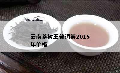 云南茶树王普洱茶2015年价格