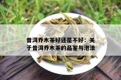 普洱乔木茶好还是不好：关于普洱乔木茶的品鉴与泡法