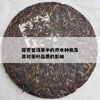 探究普洱茶中的乔木种类及其对茶叶品质的影响