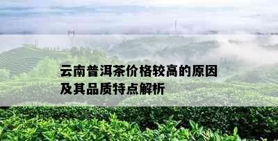 云南普洱茶价格较高的原因及其品质特点解析