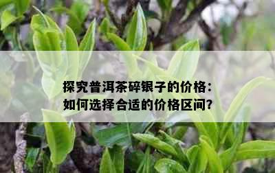 探究普洱茶碎银子的价格：如何选择合适的价格区间？