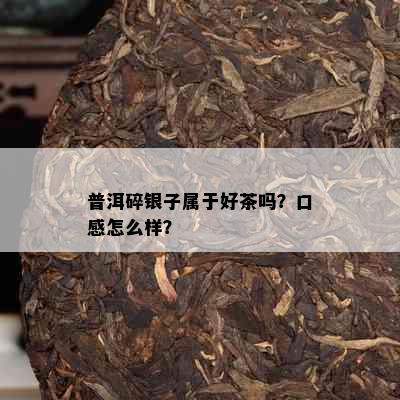 普洱碎银子属于好茶吗？口感怎么样？