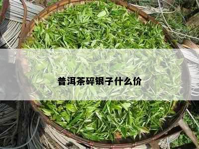 普洱茶碎银子什么价