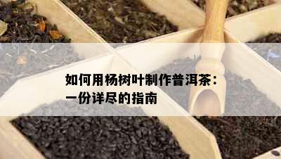 如何用杨树叶制作普洱茶：一份详尽的指南