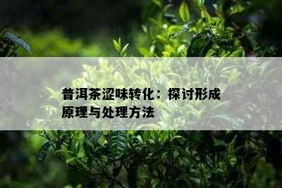 普洱茶涩味转化：探讨形成原理与处理方法